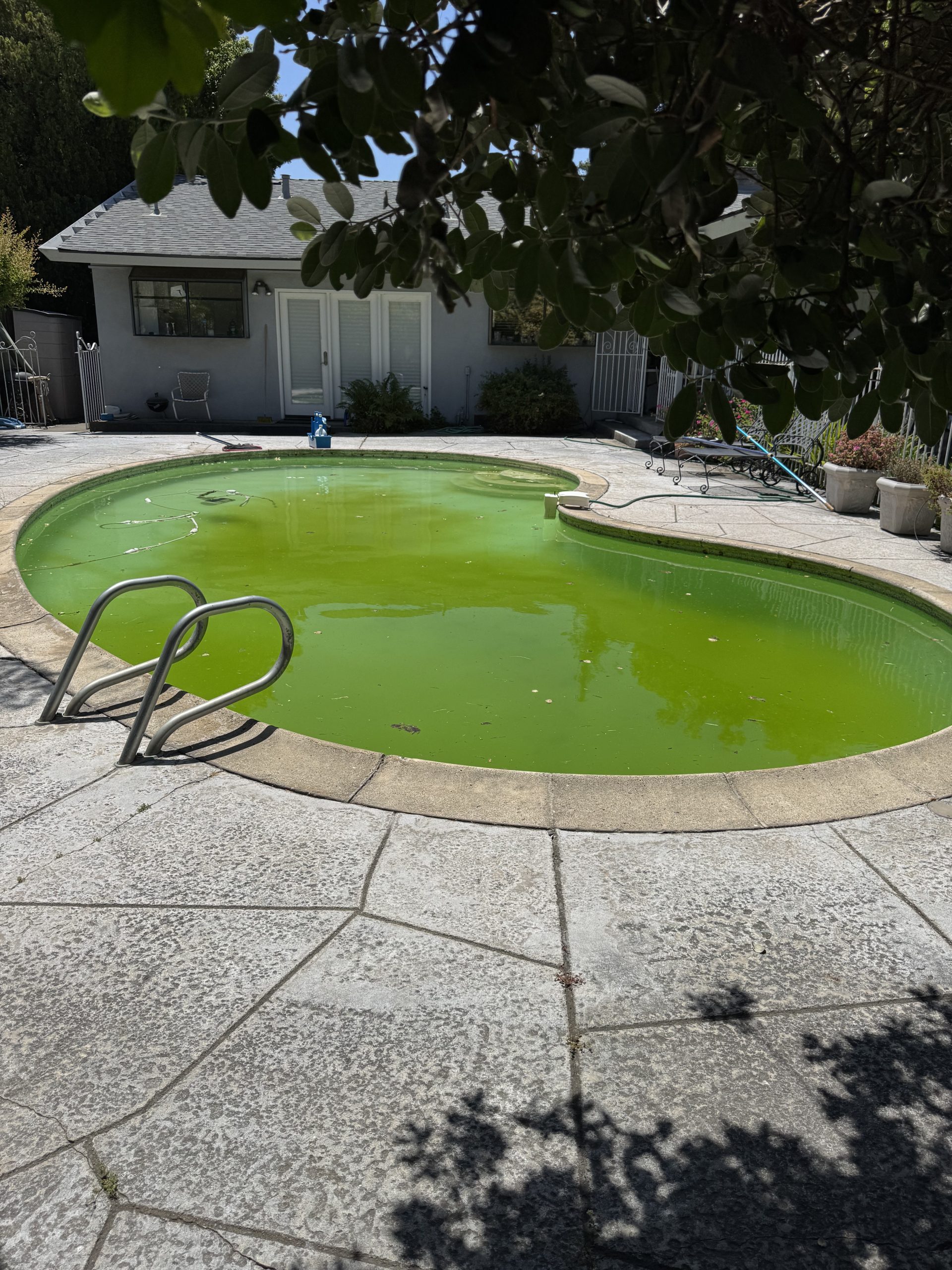Green to clean pool service in Folsom CA restoring algae-filled pool to clear water